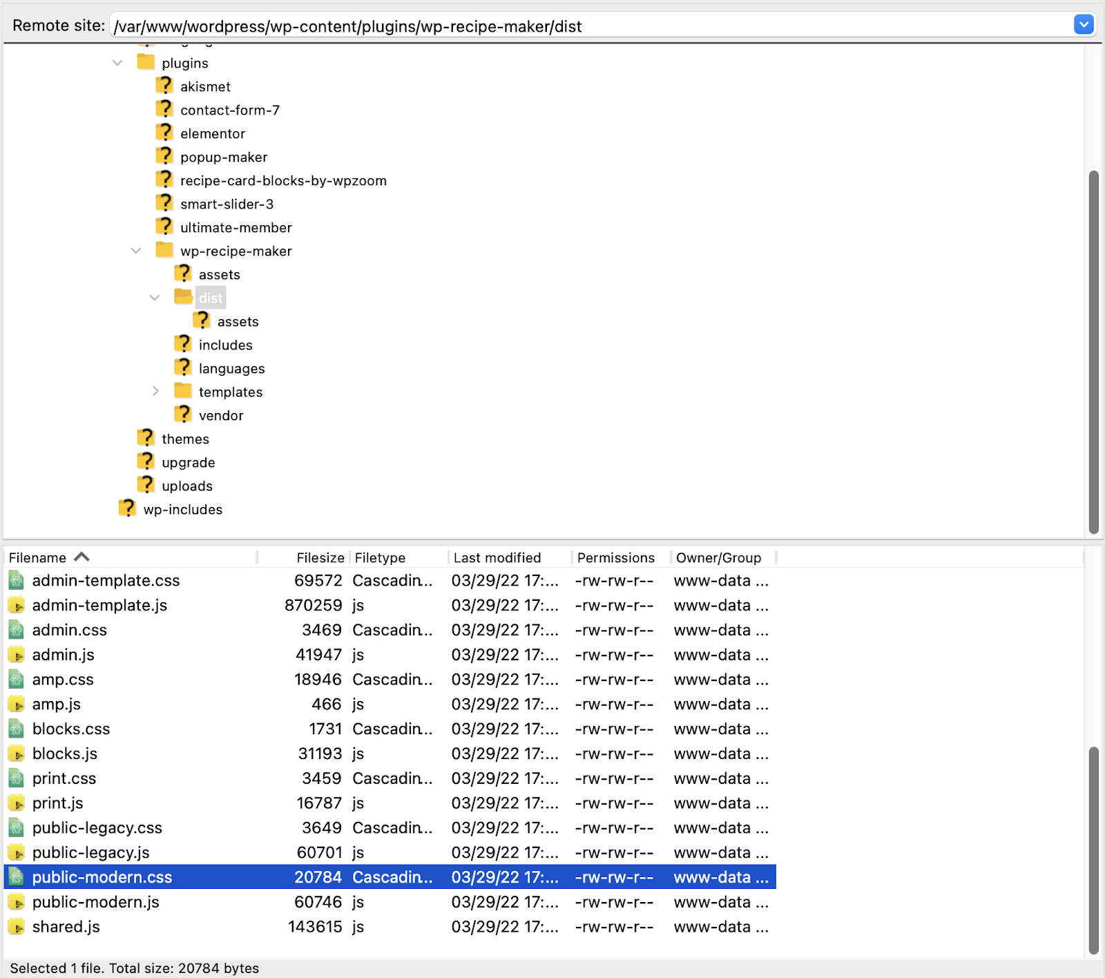 使用 FileZilla 在服务器上定位文件